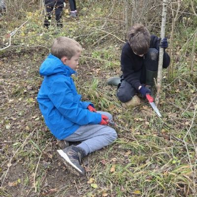 Woodpeckers Ranger Day